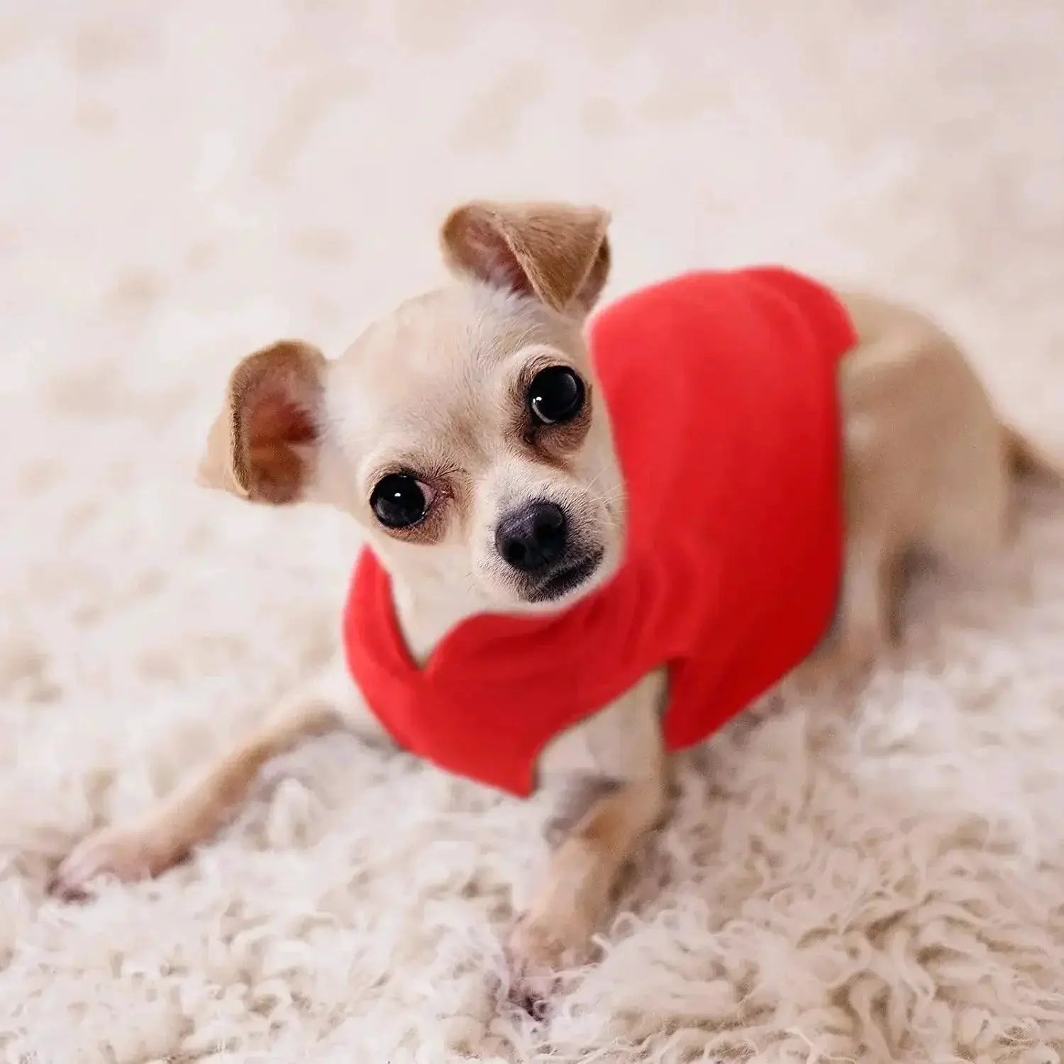 Warm Fleece Pet Vest Small Dogs Stylish Winter Wear