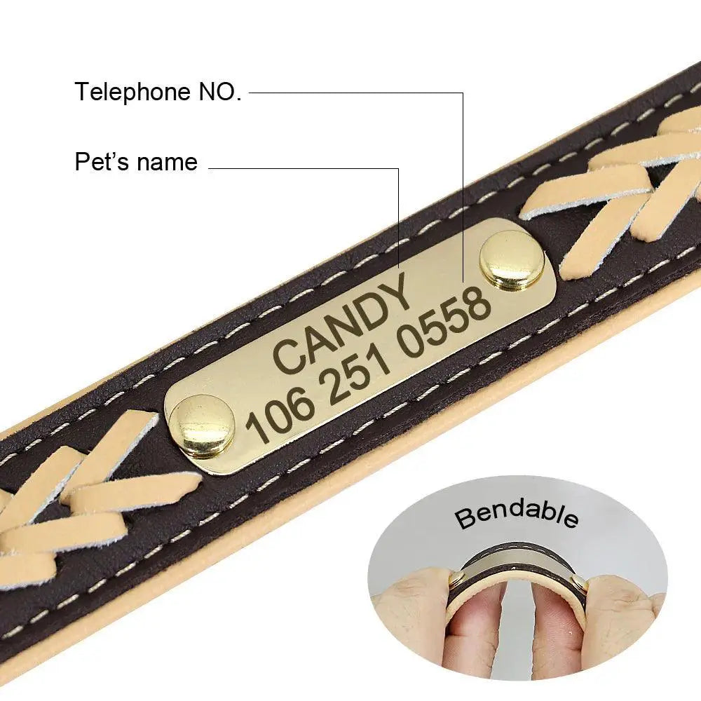 Personalized Leather Padded Dog Collar With Free Engraving - OurLum.com