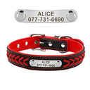 Personalized Leather Padded Dog Collar With Free Engraving