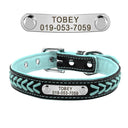 Personalized Leather Padded Dog Collar With Free Engraving