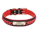 Personalized Leather Padded Dog Collar With Free Engraving
