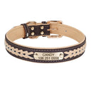 Personalized Leather Padded Dog Collar With Free Engraving
