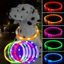 USB Rechargeable LED Dog Collar for Nighttime Visibility