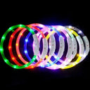 USB Rechargeable LED Dog Collar for Nighttime Visibility