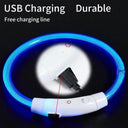 USB Rechargeable LED Dog Collar for Nighttime Visibility
