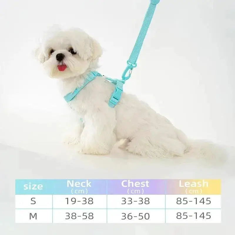 Pet Accessory Set Macarone Color Harness Collar Leash Kit