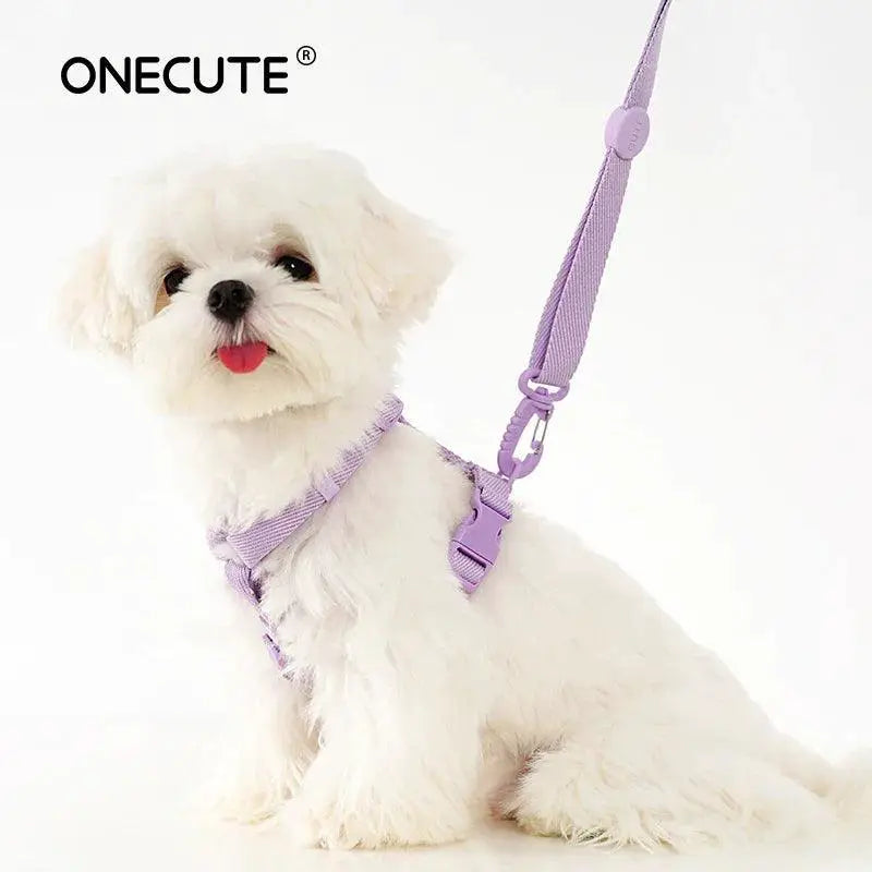 Pet Accessory Set Macarone Color Harness Collar Leash Kit