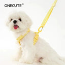 Breakaway Pet Harness Kit for Small Pets