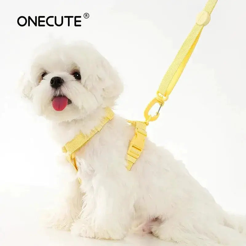 Pet Accessory Set Macarone Color Harness Collar Leash Kit