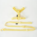 Pet Accessory Set Macarone Color Harness Collar Leash Kit