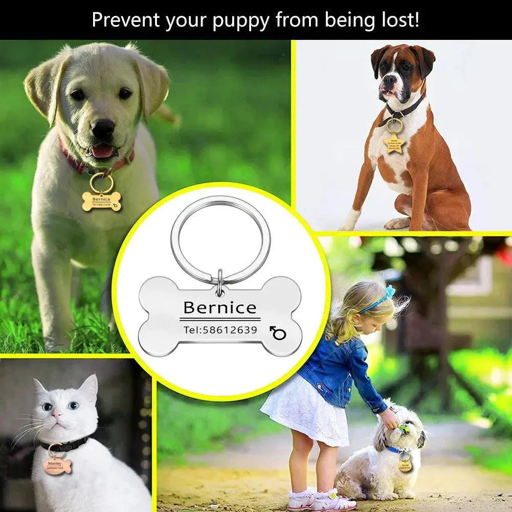 Personalized Engraved Pet ID Tag Keychain for Cats and Dogs