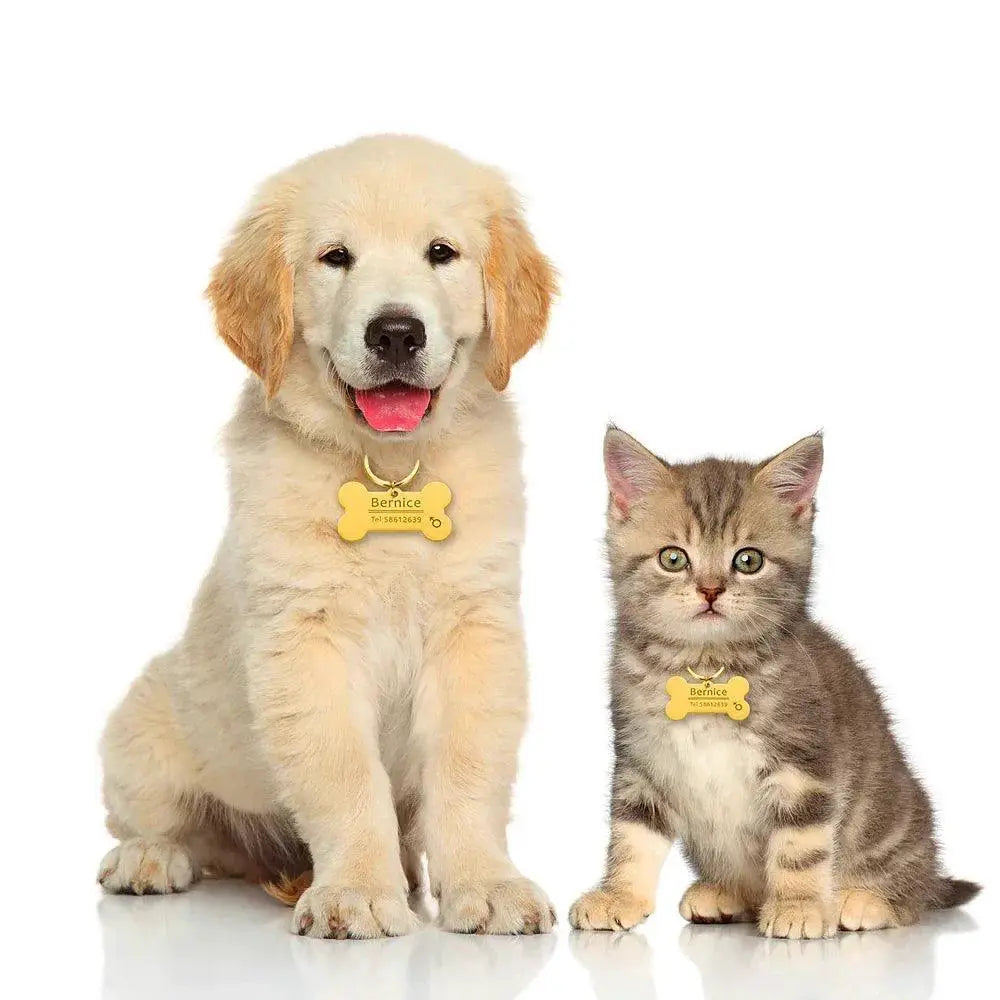 Personalized Engraved Pet ID Tag Keychain for Cats and Dogs