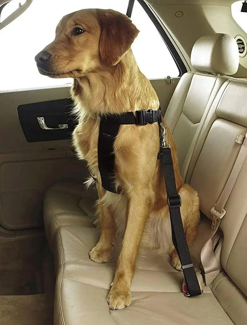 French Bulldog Car Safety Leash Secure Travel Companion