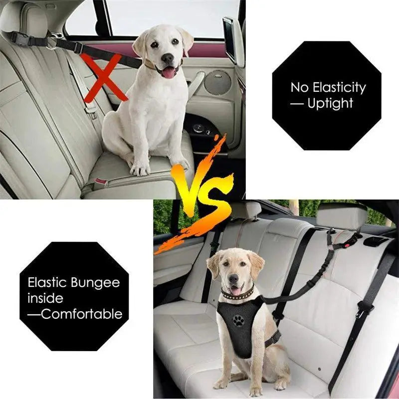 Nylon Dog Car Seat Belt Leash For Secure Small Dog Travel