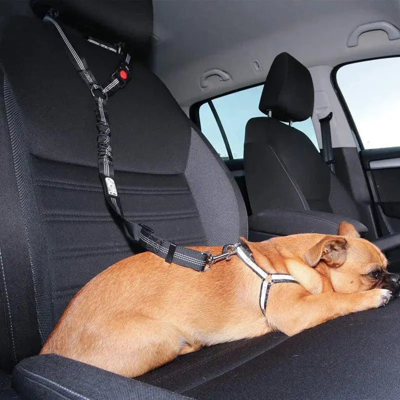 Nylon Dog Car Seat Belt Leash For Secure Small Dog Travel