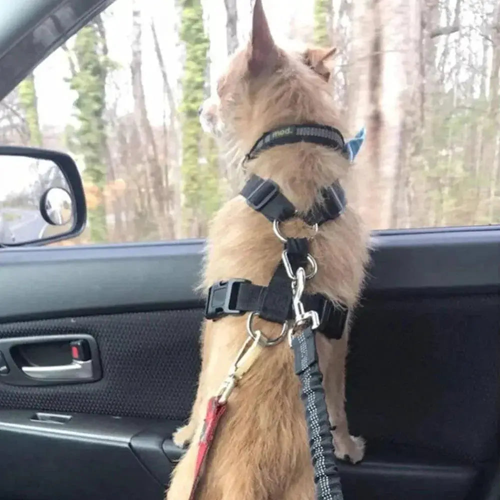 Pet Safety Car Seat Belt With Reflective Traction Rope
