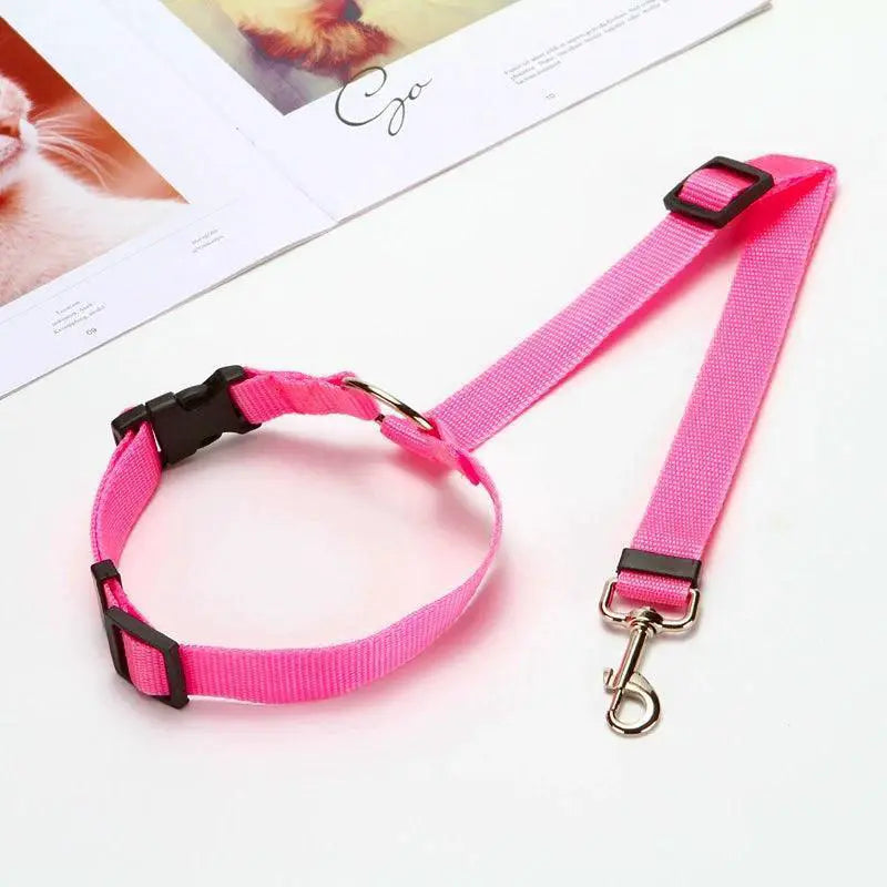 Pet Travel Harness and Leash Set for Safe Pet Travel