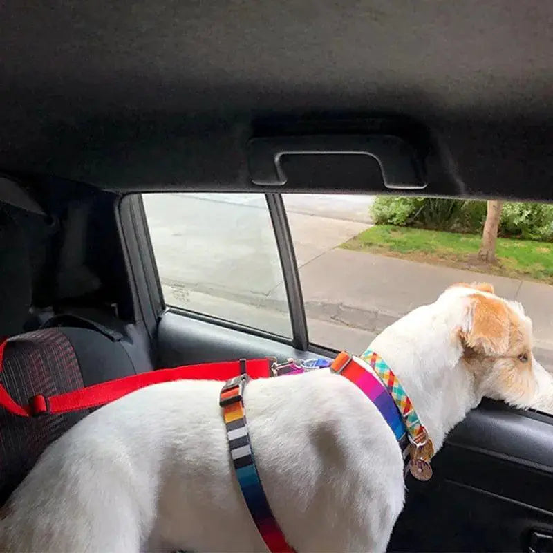 Pet Car Seat Belt With Adjustable Harness For Dogs And Cats