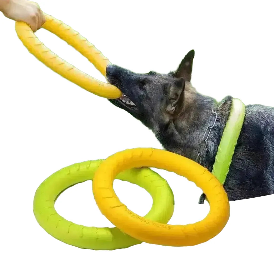 Gentle Teeth Dog Ring Toy for Training — Small pull ring