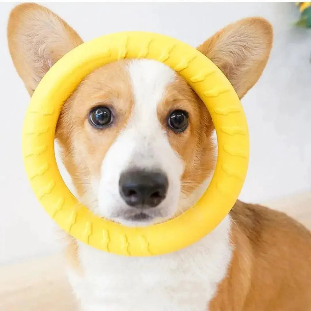 Dog Ring Toys Gentle On Teeth For Training And Play