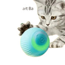 Indoor Exercise Cat Toy Ball for Cats