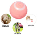 Indoor Exercise Cat Toy Ball for Cats