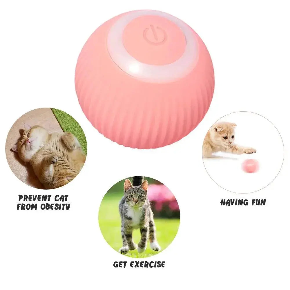 Electric Rolling Ball Cat Toy for Indoor Fun and Play