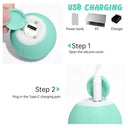 Indoor Exercise Cat Toy Ball for Cats