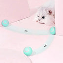 Indoor Exercise Cat Toy Ball for Cats