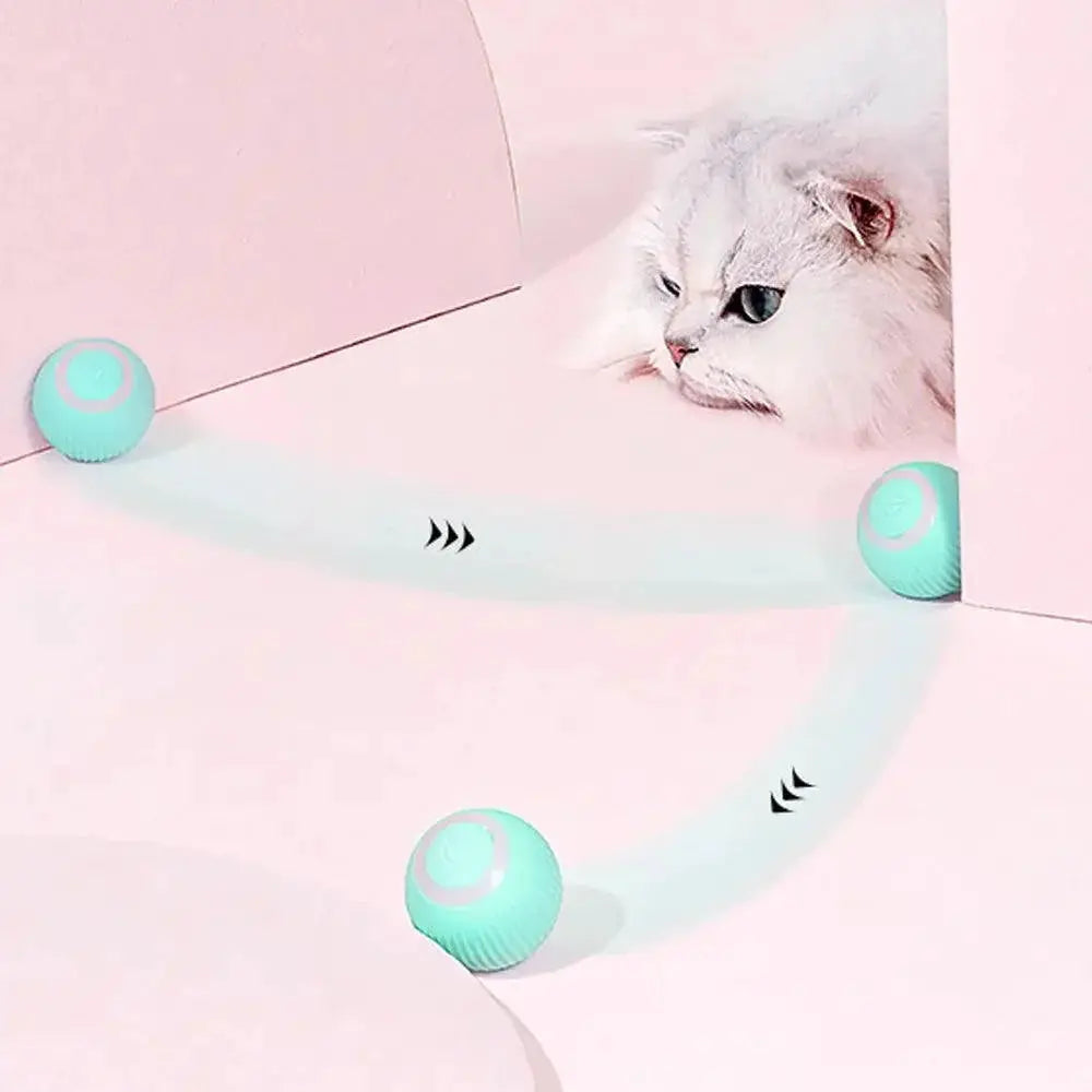 Electric Rolling Ball Cat Toy for Indoor Fun and Play