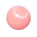 Indoor Exercise Cat Toy Ball for Cats