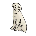 Playful Enamel Pin for Daily Outfits