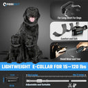 Efficient Training Collar for Large Dogs