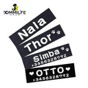 Personalized Dog ID Tags for Safe Walks