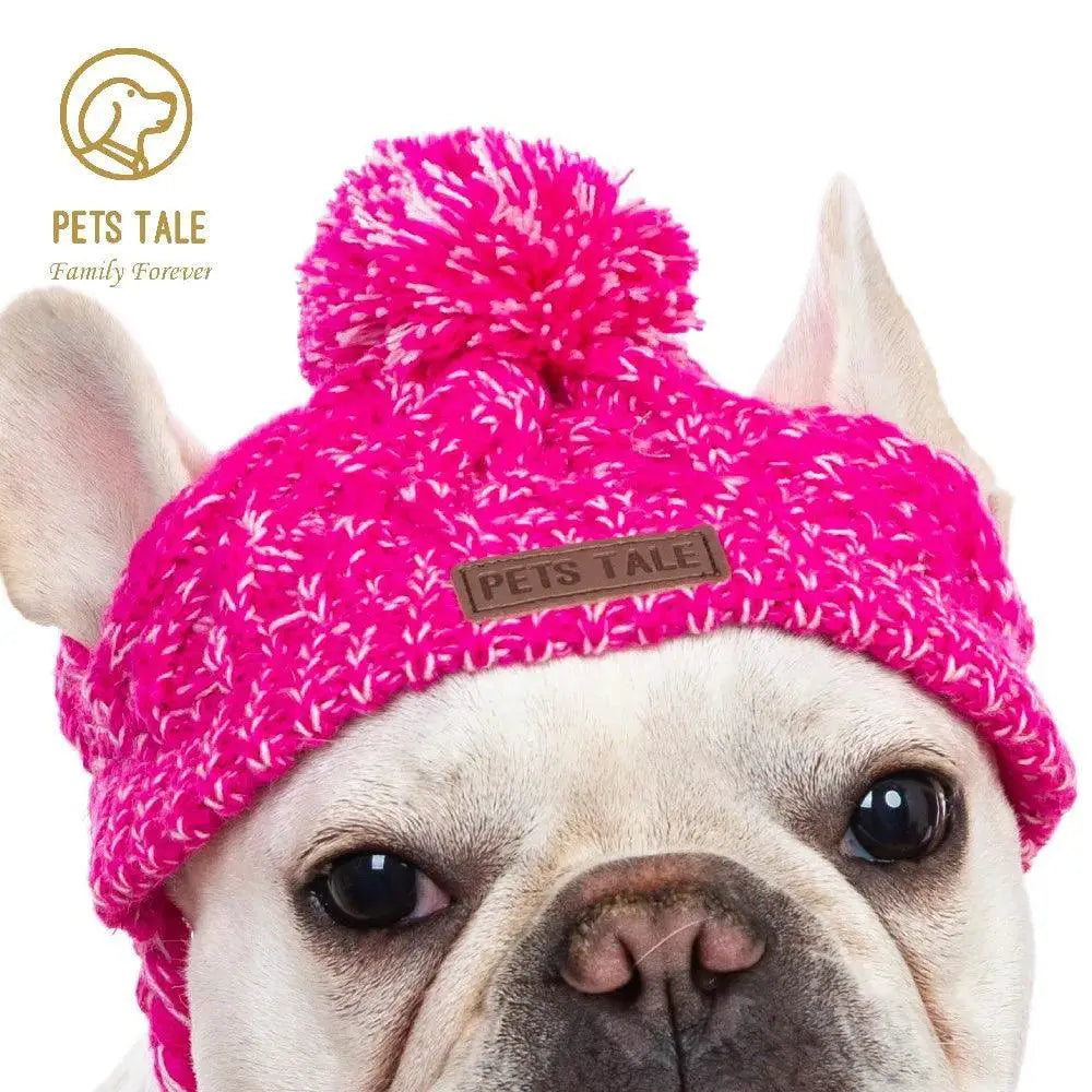 Winter Dog Knitted Hat Warm and Windproof for Stylish Pets