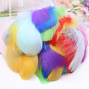 Goose Feather Craft Kit for DIY Decor