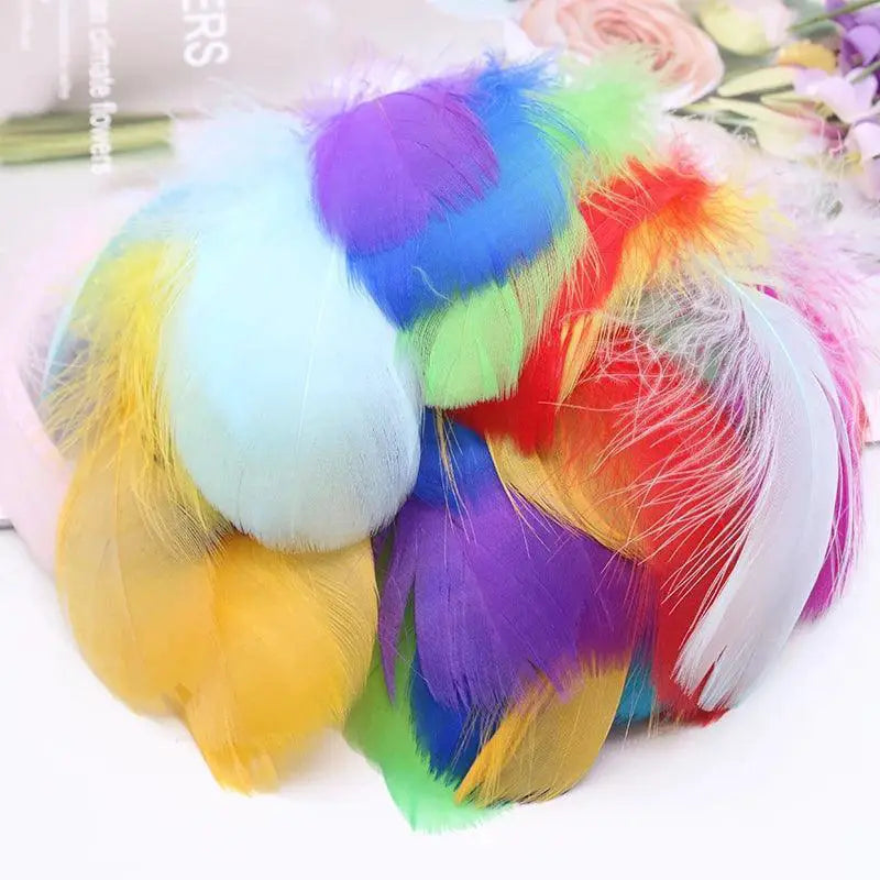Goose Feather Craft Assortment for DIY Projects and Events