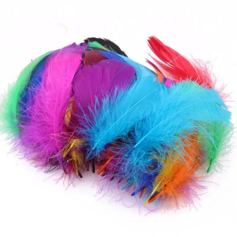 Goose Feather Craft Assortment for DIY Projects and Events