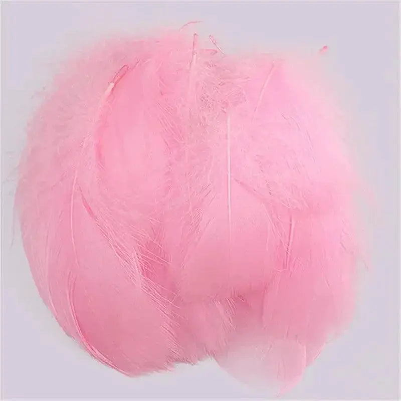 Goose Feather Craft Assortment for DIY Projects and Events