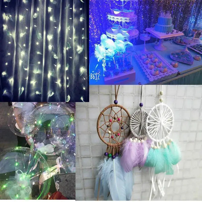 Goose Feather Craft Assortment for DIY Projects and Events