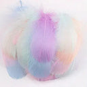 Goose Feather Craft Kit for DIY Decor