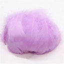 Goose Feather Craft Kit for DIY Decor