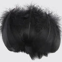 Goose Feather Craft Kit for DIY Decor