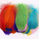 Goose Feather Craft Kit for DIY Decor