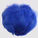 Goose Feather Craft Kit for DIY Decor