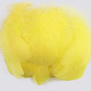 Goose Feather Craft Kit for DIY Decor