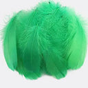 Goose Feather Craft Kit for DIY Decor