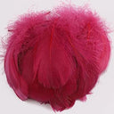 Goose Feather Craft Kit for DIY Decor