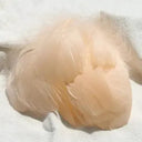 Goose Feather Craft Kit for DIY Decor