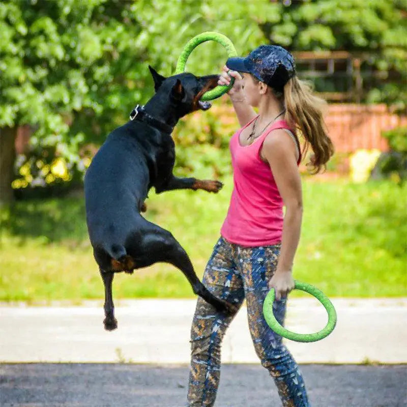 Interactive Dog Training Ring Puller Flying Discs Toy